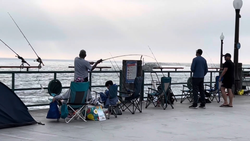 Fishing Experience at Redondo Beach Pier