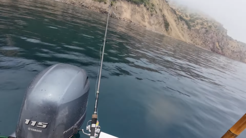 Fishing for California Sheephead at Catalina Island