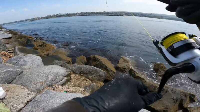 Newport Beach Wrecks Fishing