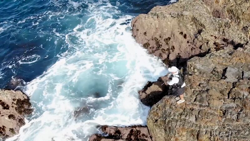 Palos Verdes Peninsula Fishing