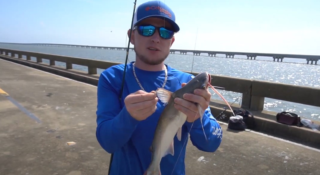 A young angler holds a freshly caught catfish