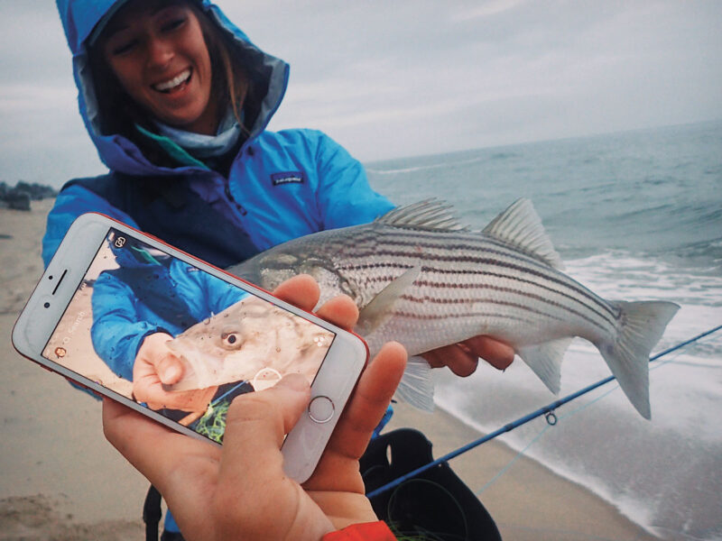 Good photography on fishing